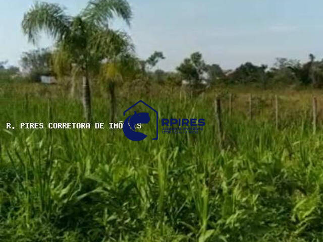 Terreno para Venda em Guaratuba - 4