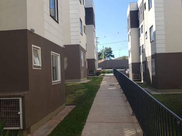 #AP 74 - Apartamento para Venda em Campo Largo - PR - 3