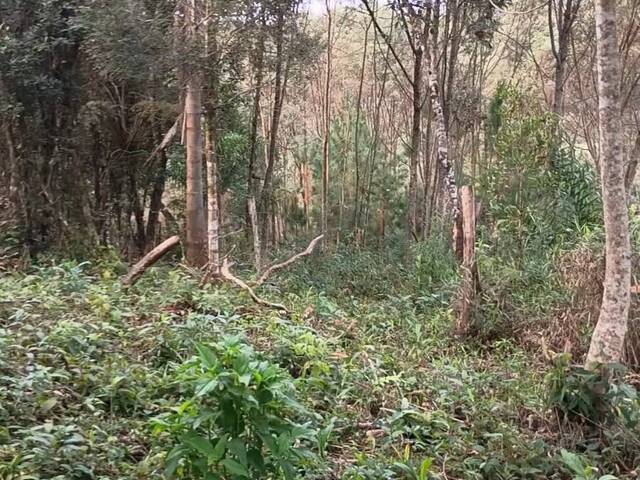 #98 - Chácara para Venda em Curitiba - PR - 1