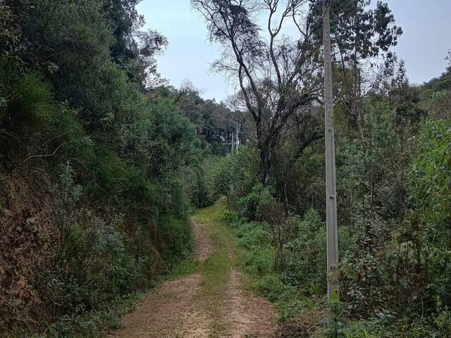 #98 - Chácara para Venda em Curitiba - PR - 2